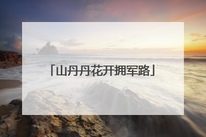 山丹丹花开拥军路